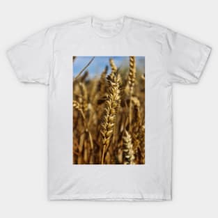Ear of wheat T-Shirt